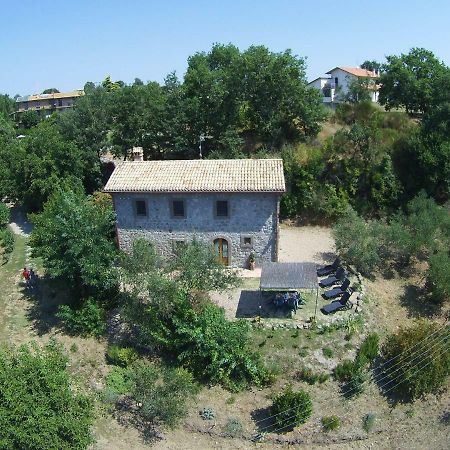 Вилла Fattoria Capobianco Монтефьясконе Экстерьер фото