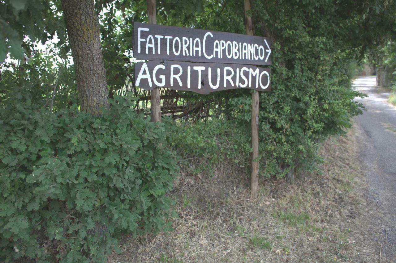 Вилла Fattoria Capobianco Монтефьясконе Экстерьер фото